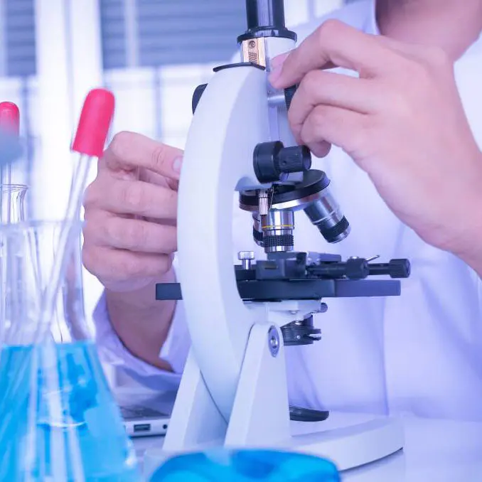 زنک بوریٹ کی پیداوار کا عمل